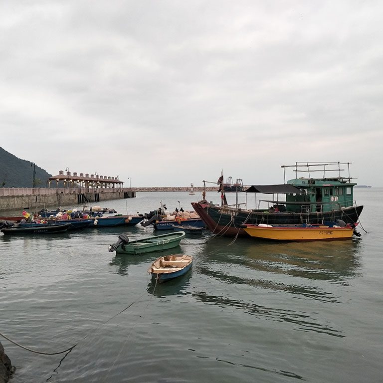 barcos Tai O