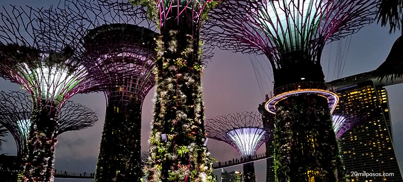 gardens by the bay