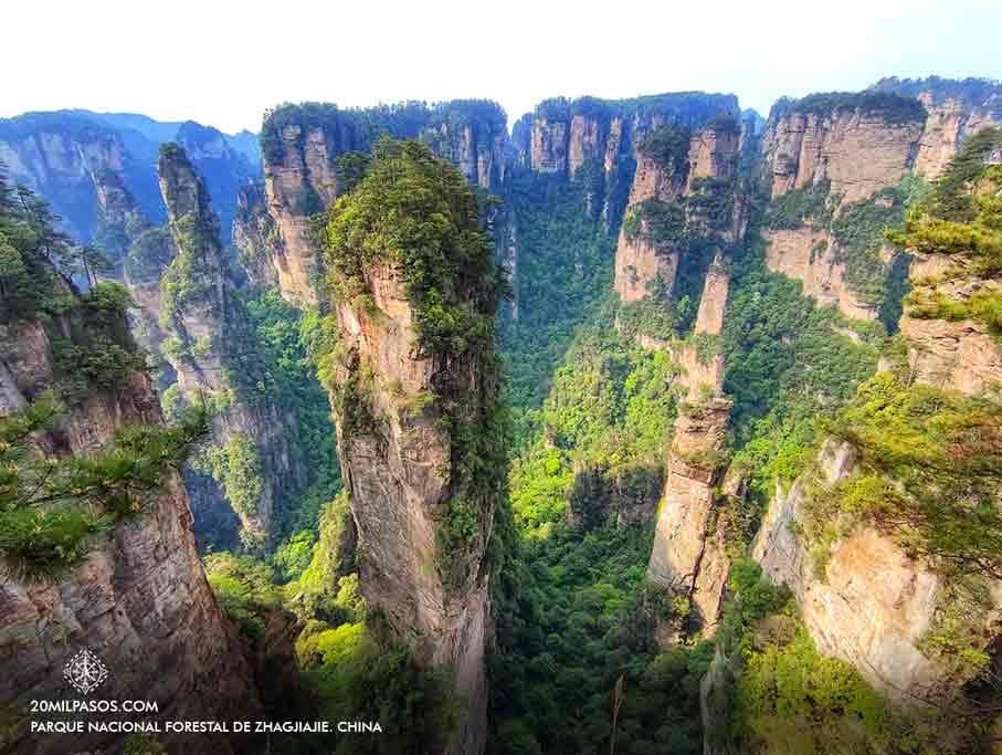 parque_zhangjiajie_china