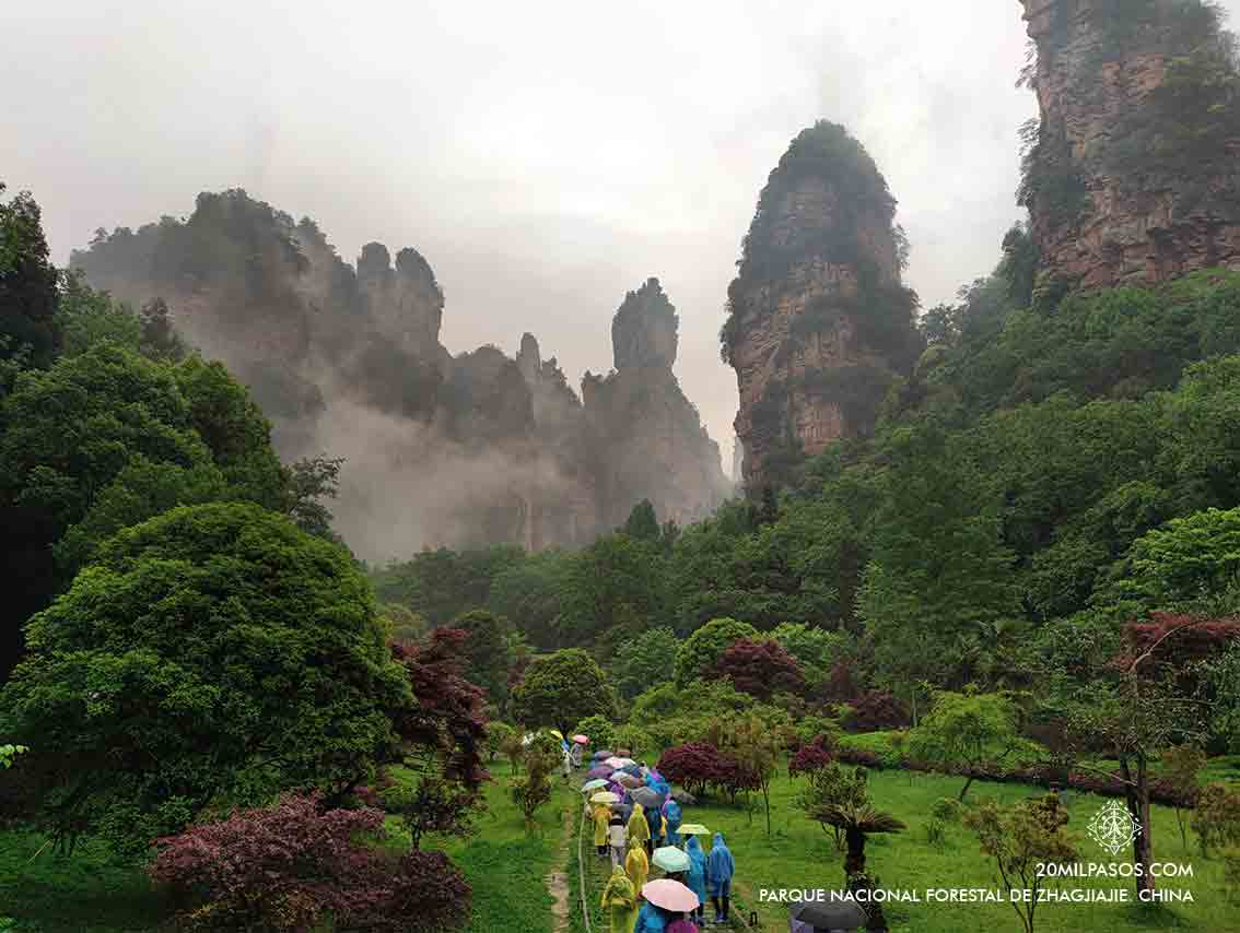 zhangjiajie-abril-china-visitar