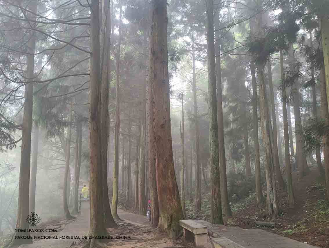 zhangjiajie-china-que-ver